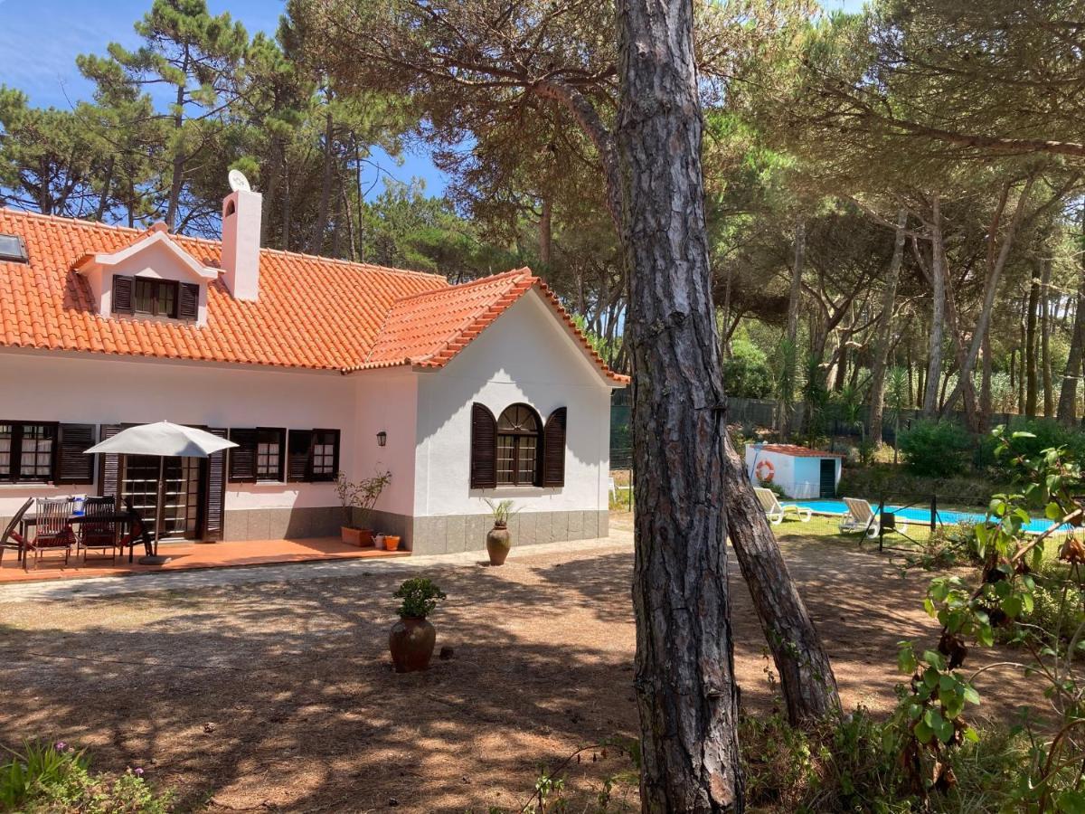 Moradia No Pinhal Com Piscina - Espaco E Privacidade Para As Suas Ferias! Синтра Экстерьер фото