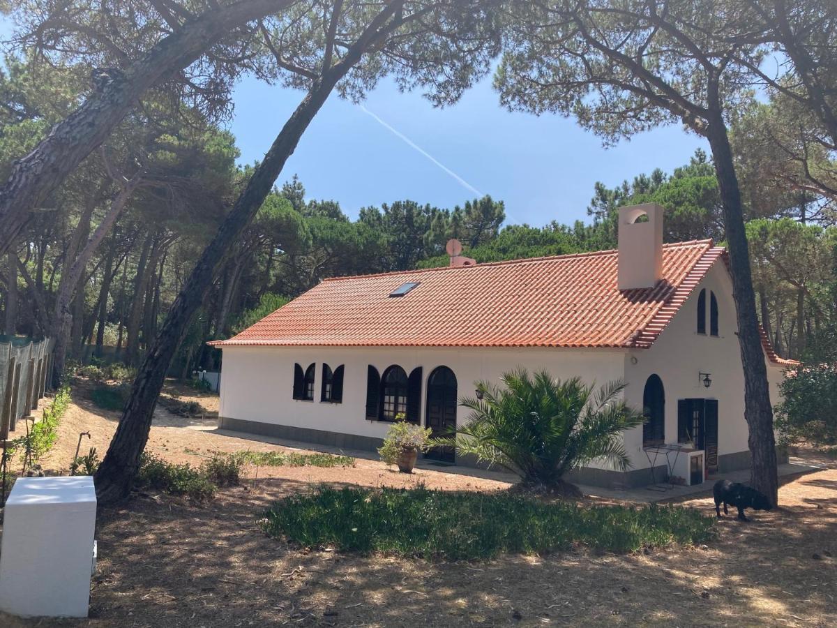 Moradia No Pinhal Com Piscina - Espaco E Privacidade Para As Suas Ferias! Синтра Экстерьер фото